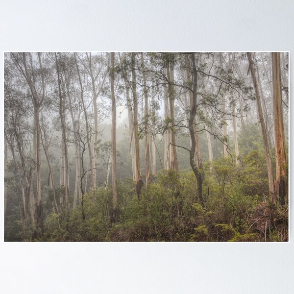 Item preview, Misty Mt Wilson designed and sold by Dianne English.