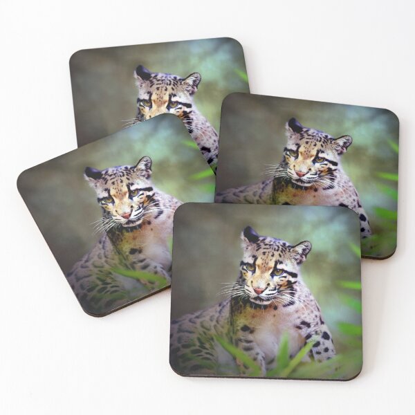 Item preview, Clouded Leopard Cub  designed and sold by Savannah Gibbs.