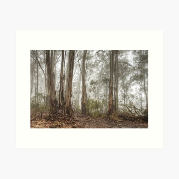Item preview, Mt Irvine Mist designed and sold by Dianne English.