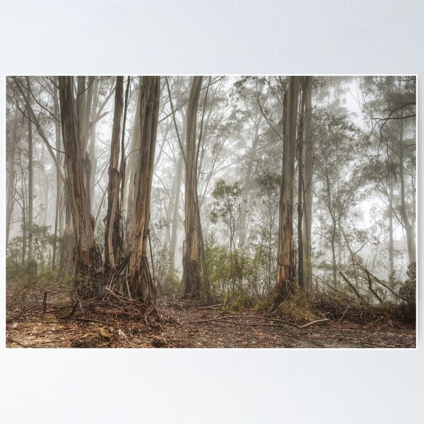 Item preview, Mt Irvine Mist designed and sold by Dianne English.