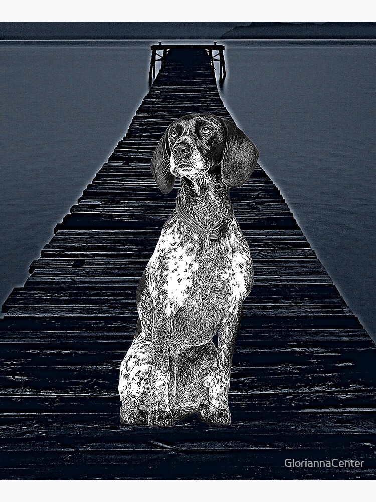 Braque D'Auvergne Dog by GloriannaCenter