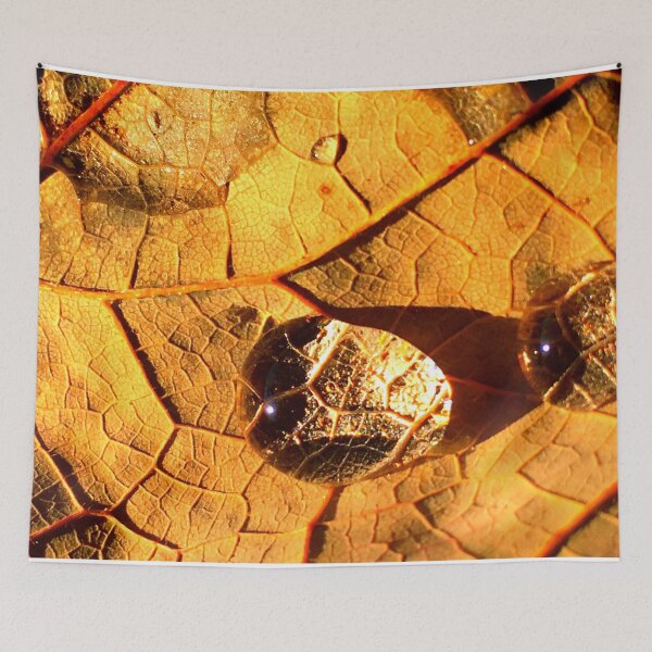 Item preview, Dewdrop Leaf at Golden Hour designed and sold by Creative.Juices.