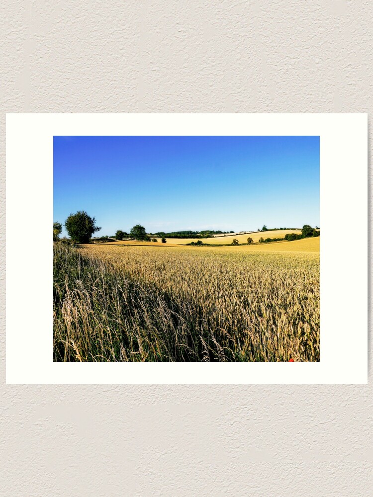 Alternate view of Summer Harvest Art Print