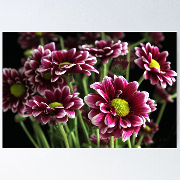 Item preview, One of Many designed and sold by Lynn Gedeon.