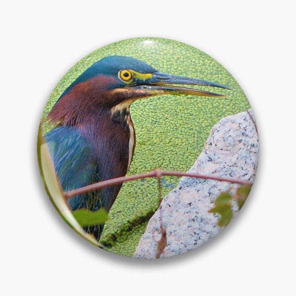 Artikelvorschau, Green Heron entworfen und verkauft von What I See by Dawne.