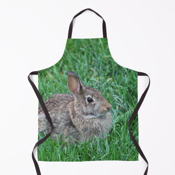Item preview, Our Backyard Bunny designed and sold by Susie Kramer.
