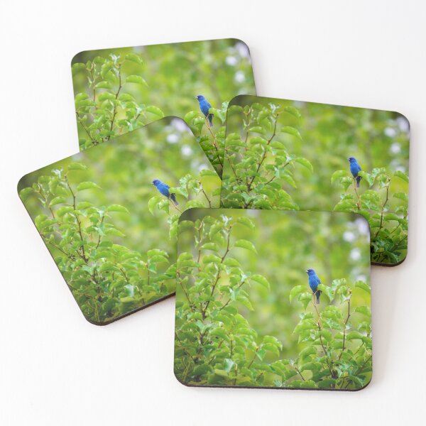 Item preview, Indigo Bunting designed and sold by inlightimagery.