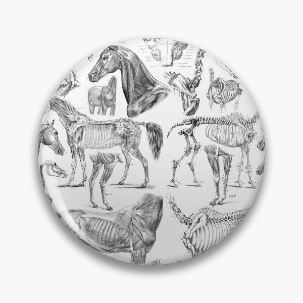 Item preview, Horse Anatomy (black on white) designed and sold by adamcampen.