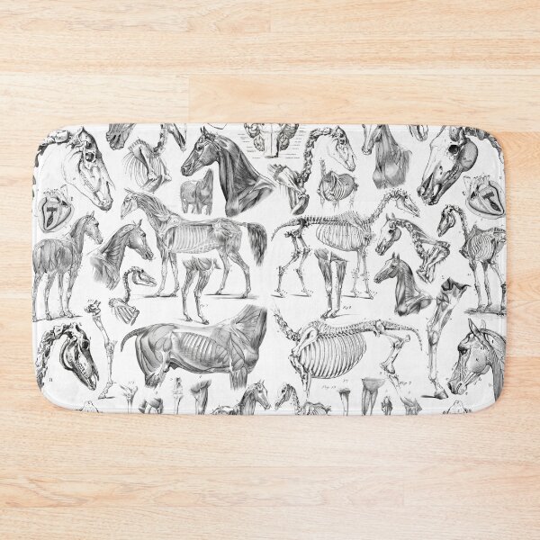 Item preview, Horse Anatomy (black on white) designed and sold by adamcampen.