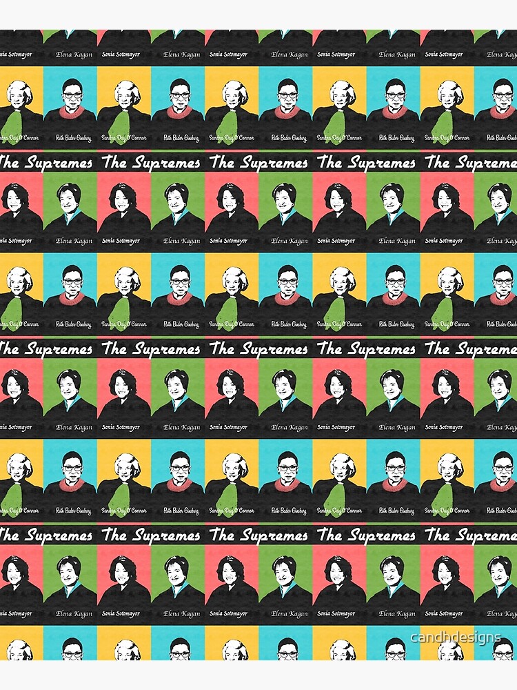 The Supremes Supreme Court Feminist by candhdesigns
