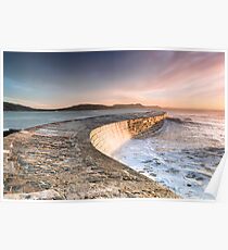 Sunkissed Cobb at Lyme Regis Poster