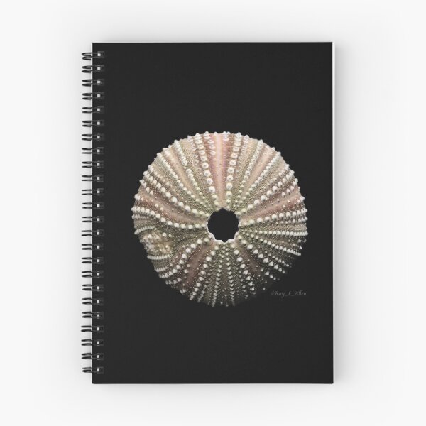 Item preview, Lytechinus variegatus  designed and sold by MotherOfUrchins.