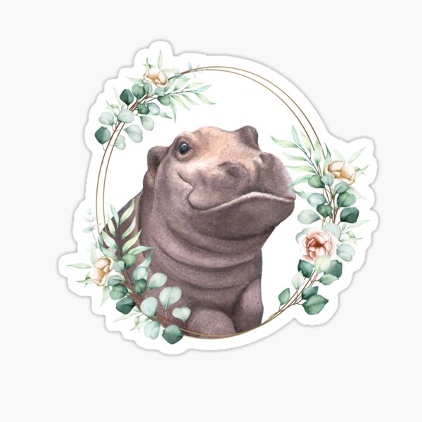 Fiona The Hippo Merch & Gifts for Sale | Redbubble