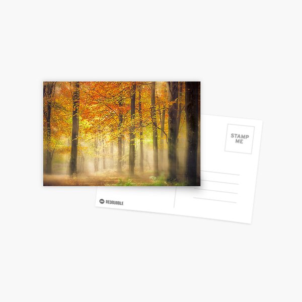 Autumn Gold Postcard