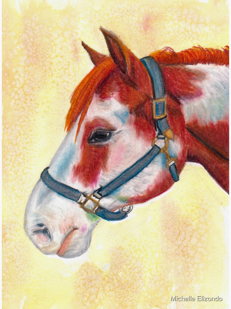 "Skewbald Paint Horse Portrait" Sticker for Sale by MEArtStudio Redbubble