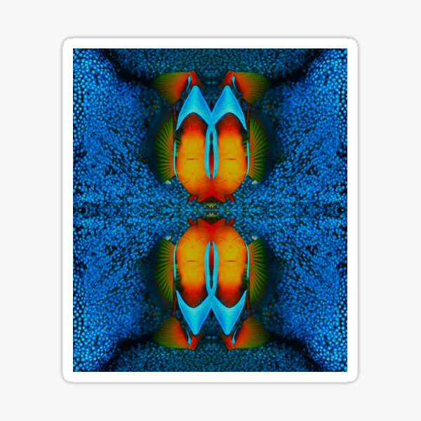 Item preview, Something is clown fishy designed and sold by Kushyart.