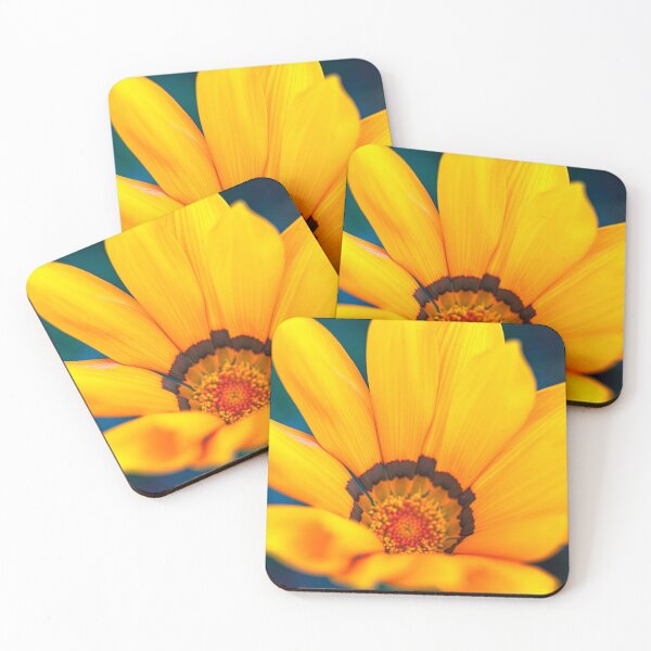 Item preview, Close-up of a gazania flower designed and sold by jillianbutolphphoto.