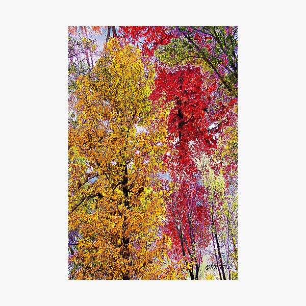 Item preview, Most Colorful Season of Life designed and sold by DwCCreations.