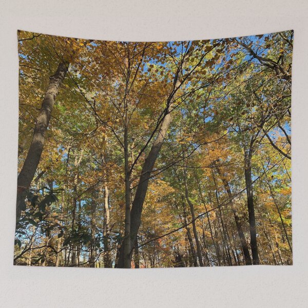 Item preview, West Virginia Fall designed and sold by rachelbelle.