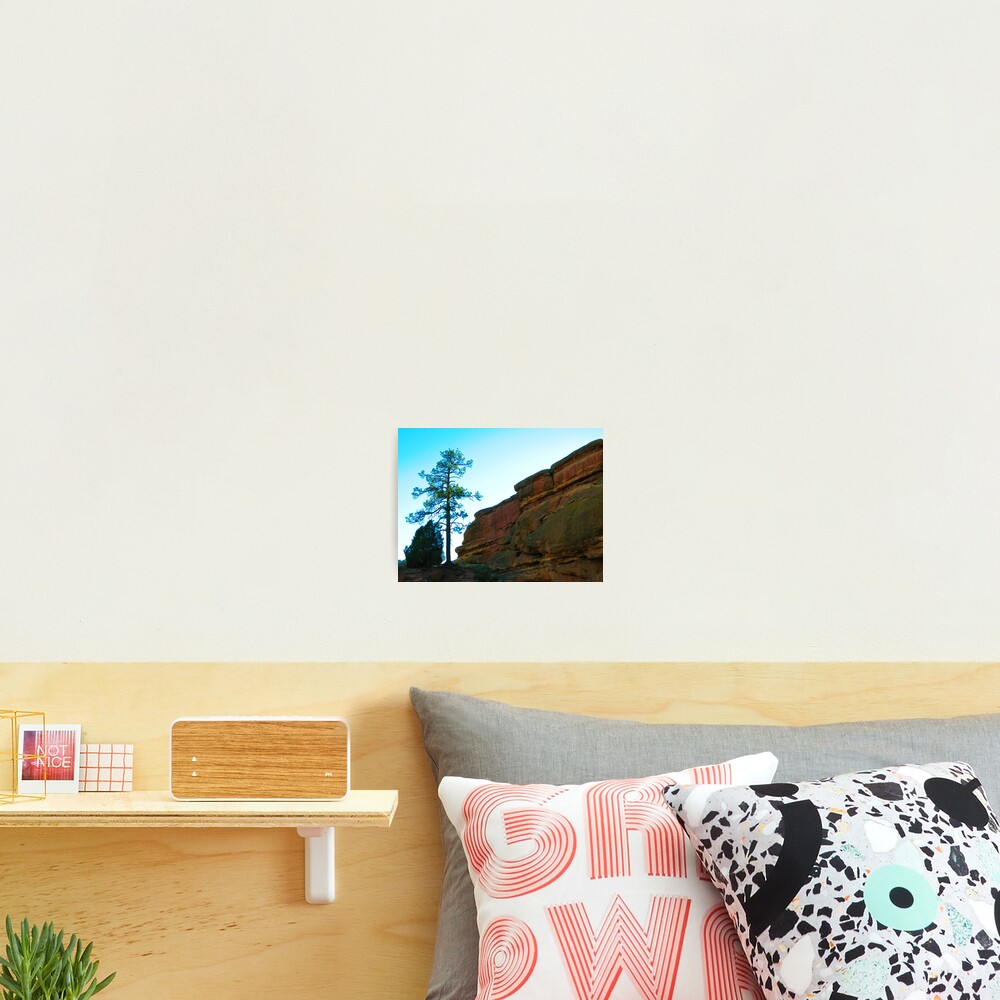 Item preview, Photographic Print designed and sold by kchase.