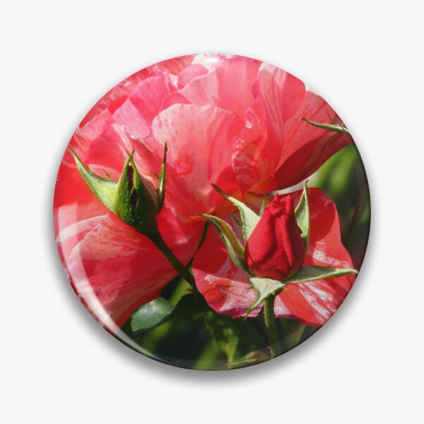 Item preview, Grimaldi Rose #1 designed and sold by Marilyn Harris.