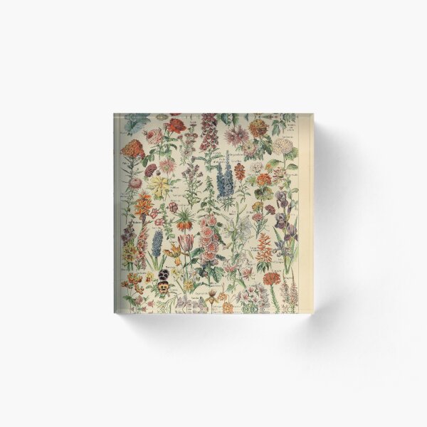 Vintage Flower Drawing Acrylic Block