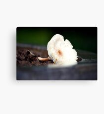 Flower -Mushroom Canvas Print