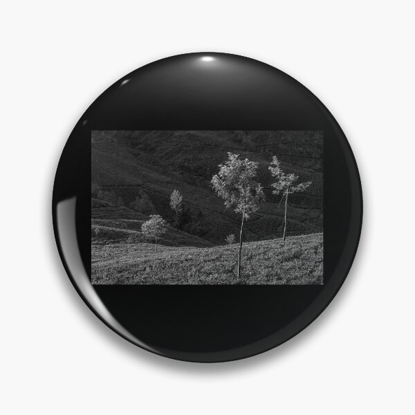 Item preview, SKN 9166 Portrait of Trees. B/W designed and sold by Sunil Kapadia.