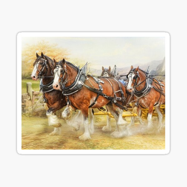 Clydesdales in Harness Sticker