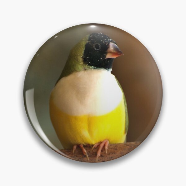 Artikelvorschau, Gouldian Finch entworfen und verkauft von GP1746.