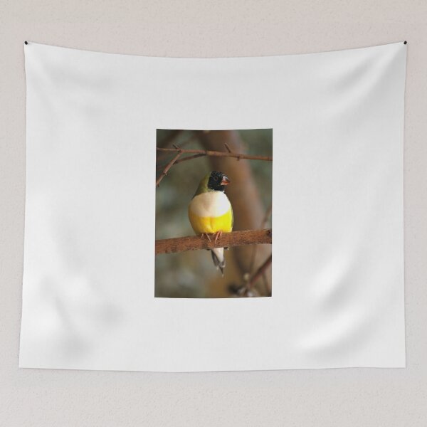 Item preview, Gouldian Finch designed and sold by GP1746.