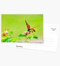 Monarch on Lantana III Postcards