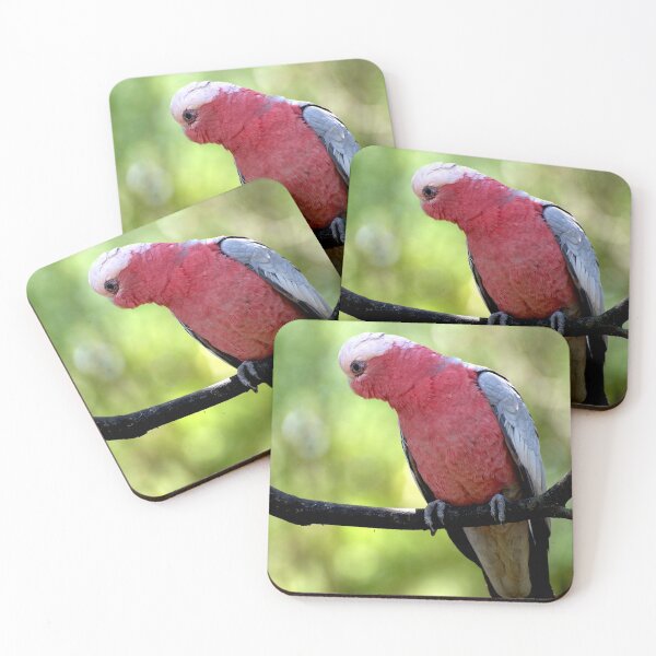 Item preview, Galah designed and sold by GP1746.