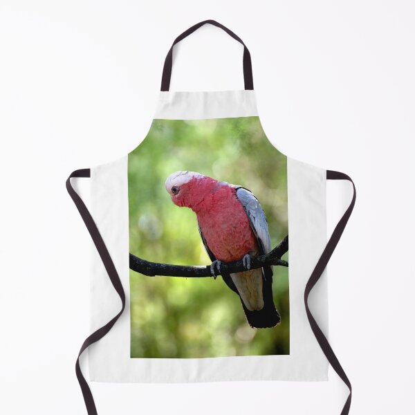 Item preview, Galah designed and sold by GP1746.