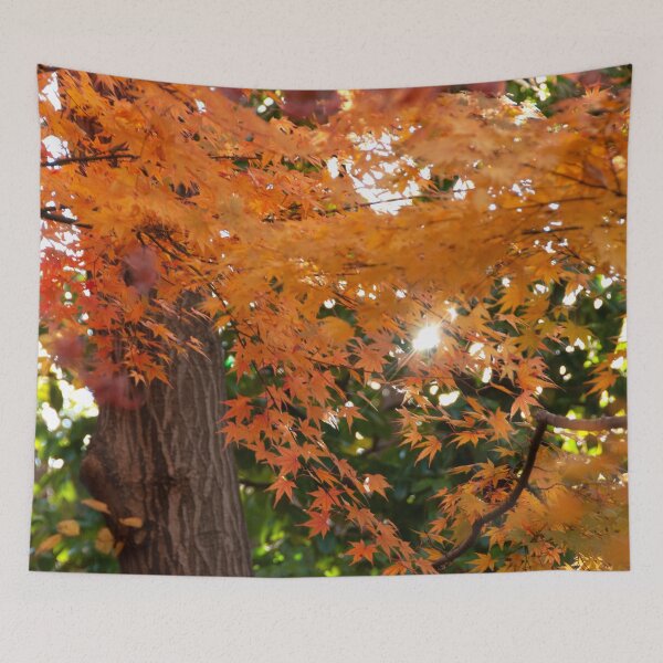 Item preview, AUTUMN FALL SPARKLE LEAVES | Nature Photo designed and sold by PhotoStory.