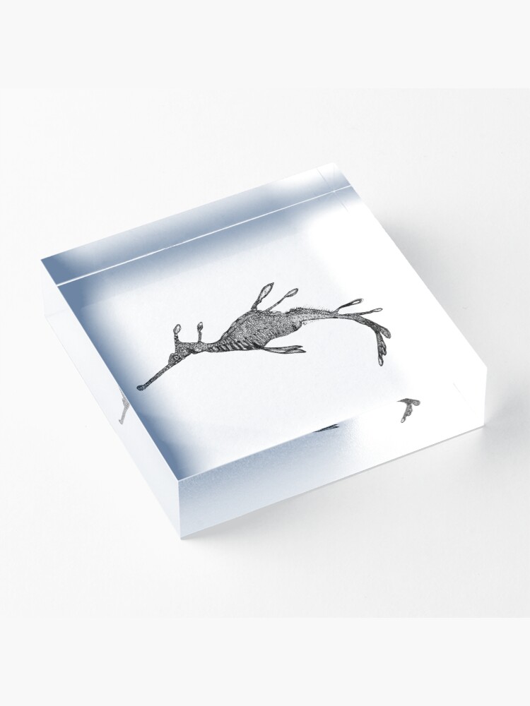 Alternate view of Jennifer the Weedy Sea Dragon Acrylic Block