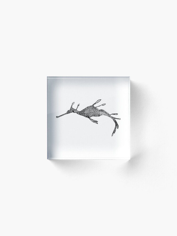 Alternate view of Jennifer the Weedy Sea Dragon Acrylic Block