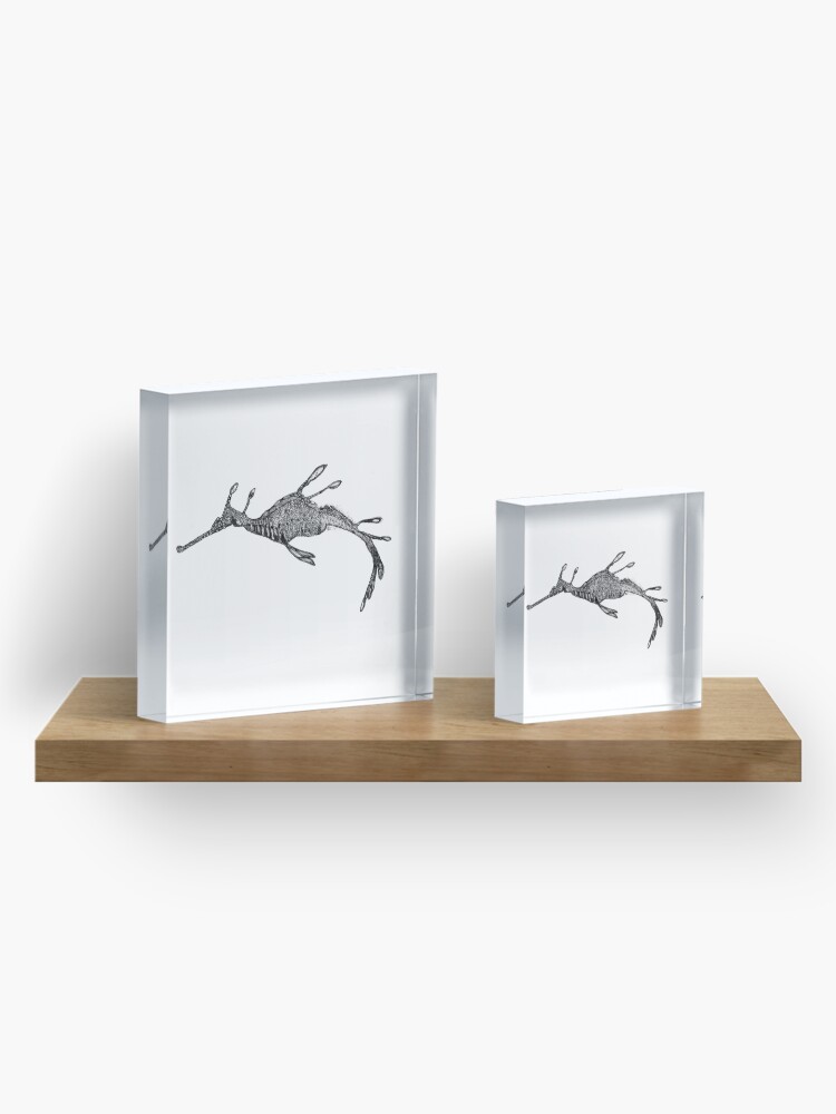 Alternate view of Jennifer the Weedy Sea Dragon Acrylic Block