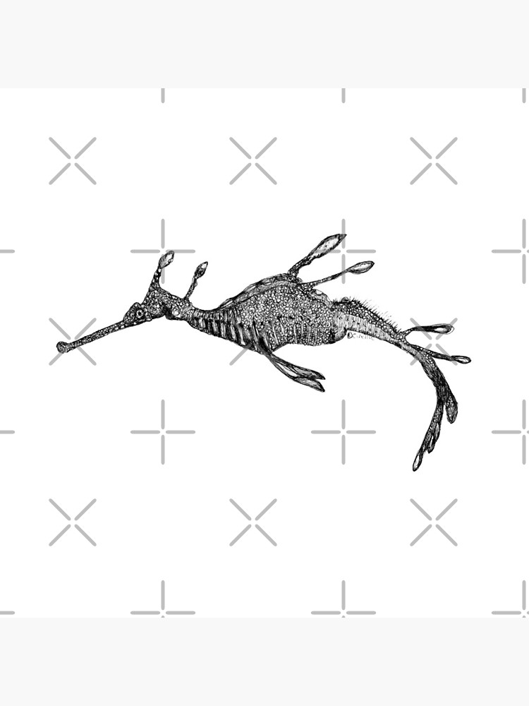 Jennifer the Weedy Sea Dragon by Wildcard-Sue