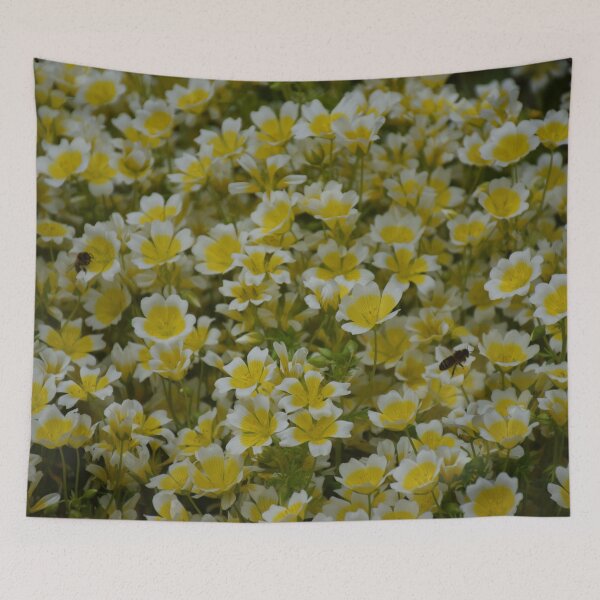 Item preview, Yellow and white flowers designed and sold by Boscastle.