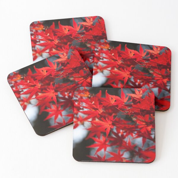 Item preview, AUTUMN RED LEAVES FLOAT | Autumn Photo designed and sold by PhotoStory.