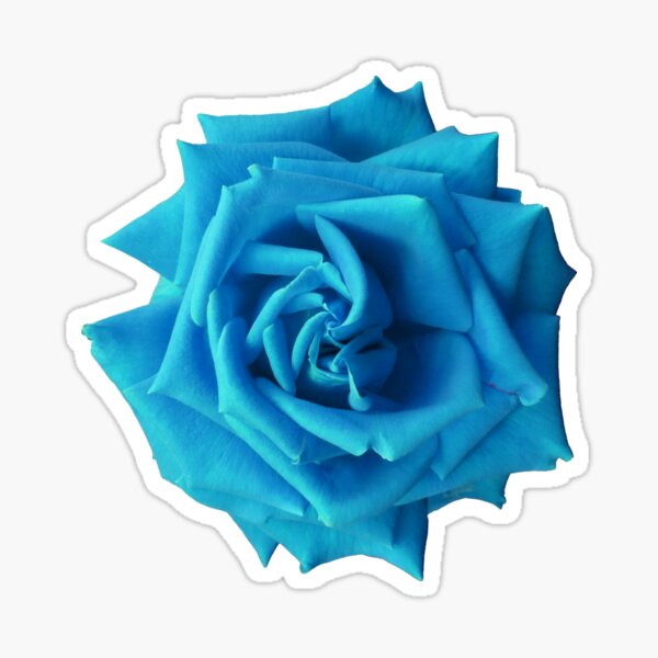 Blue Rose Sticker