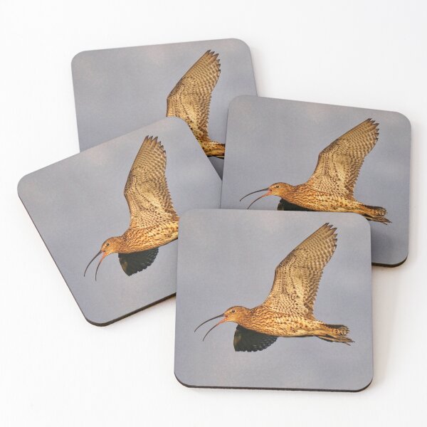 Item preview, Curlew in flight designed and sold by Alan Mackinnon.