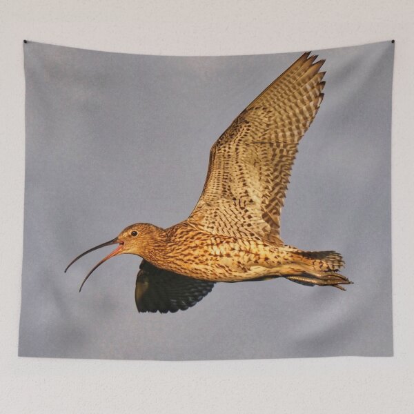 Item preview, Curlew in flight designed and sold by Alan Mackinnon.