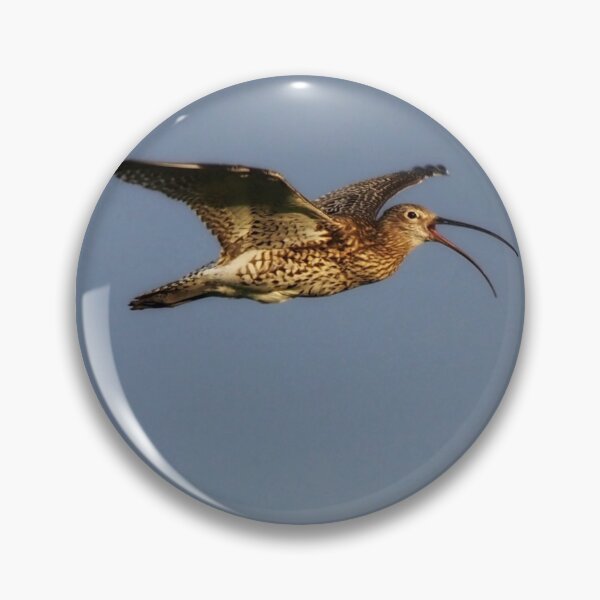Item preview, Curlew in flight designed and sold by Alan Mackinnon.