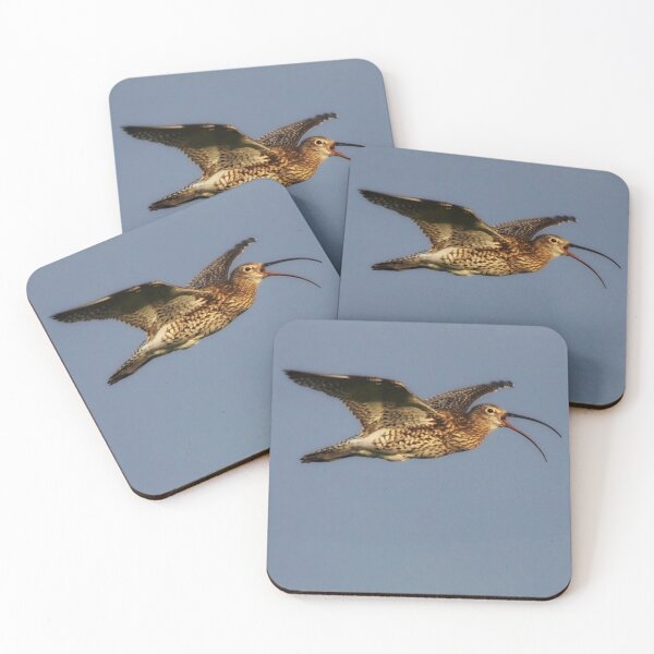 Item preview, Curlew in flight designed and sold by Alan Mackinnon.
