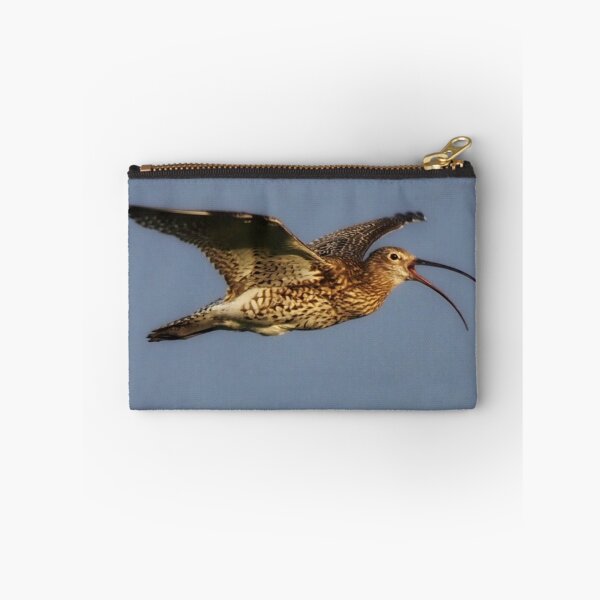 Item preview, Curlew in flight designed and sold by Alan Mackinnon.