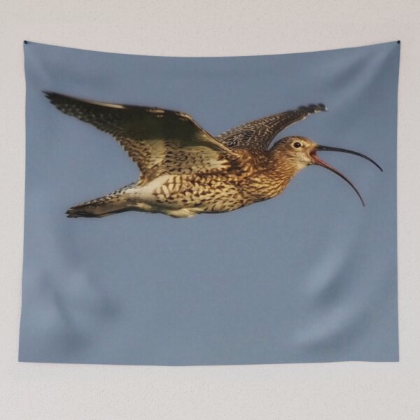 Item preview, Curlew in flight designed and sold by Alan Mackinnon.