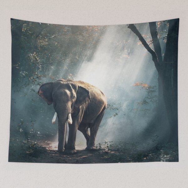 Item preview, African Forest Elephant designed and sold by kris-money.