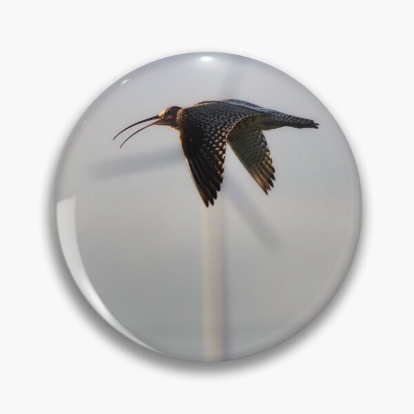 Item preview, Curlew in flight designed and sold by Alan Mackinnon.